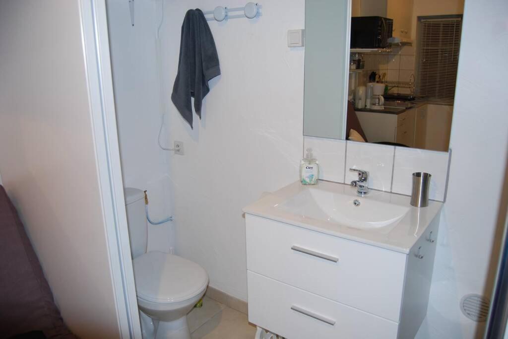 L'Atelier A 100 M De Tarbes Sud Villa Laloubere Exterior foto